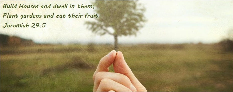 my040_living_in_exile_jer29-5