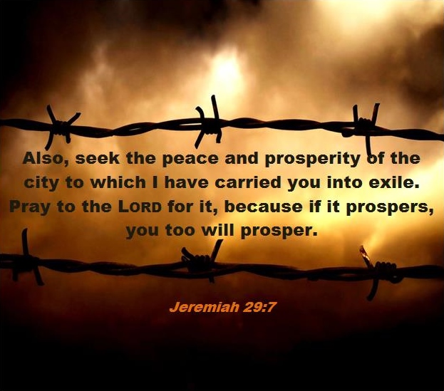 my040_living_in_exile_jer29-7